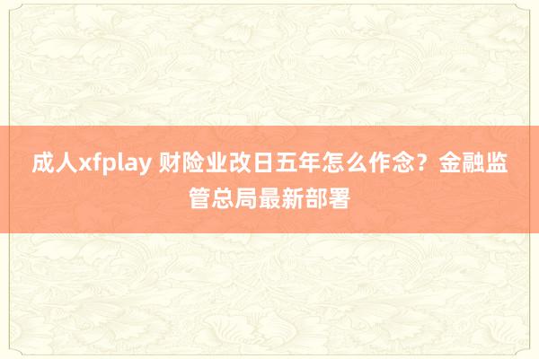 成人xfplay 财险业改日五年怎么作念？金融监管总局最新部署