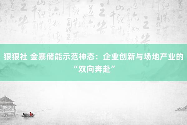 狠狠社 金寨储能示范神态：企业创新与场地产业的“双向奔赴”