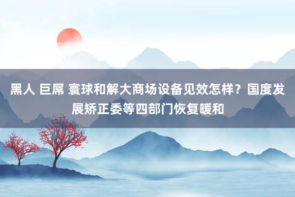 黑人 巨屌 寰球和解大商场设备见效怎样？国度发展矫正委等四部门恢复暖和
