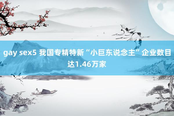 gay sex5 我国专精特新“小巨东说念主”企业数目达1.46万家