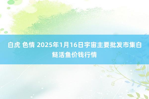 白虎 色情 2025年1月16日宇宙主要批发市集白鲢活鱼价钱行情