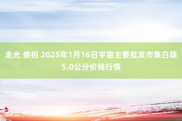 走光 偷拍 2025年1月16日宇宙主要批发市集白蒜5.0公分价钱行情